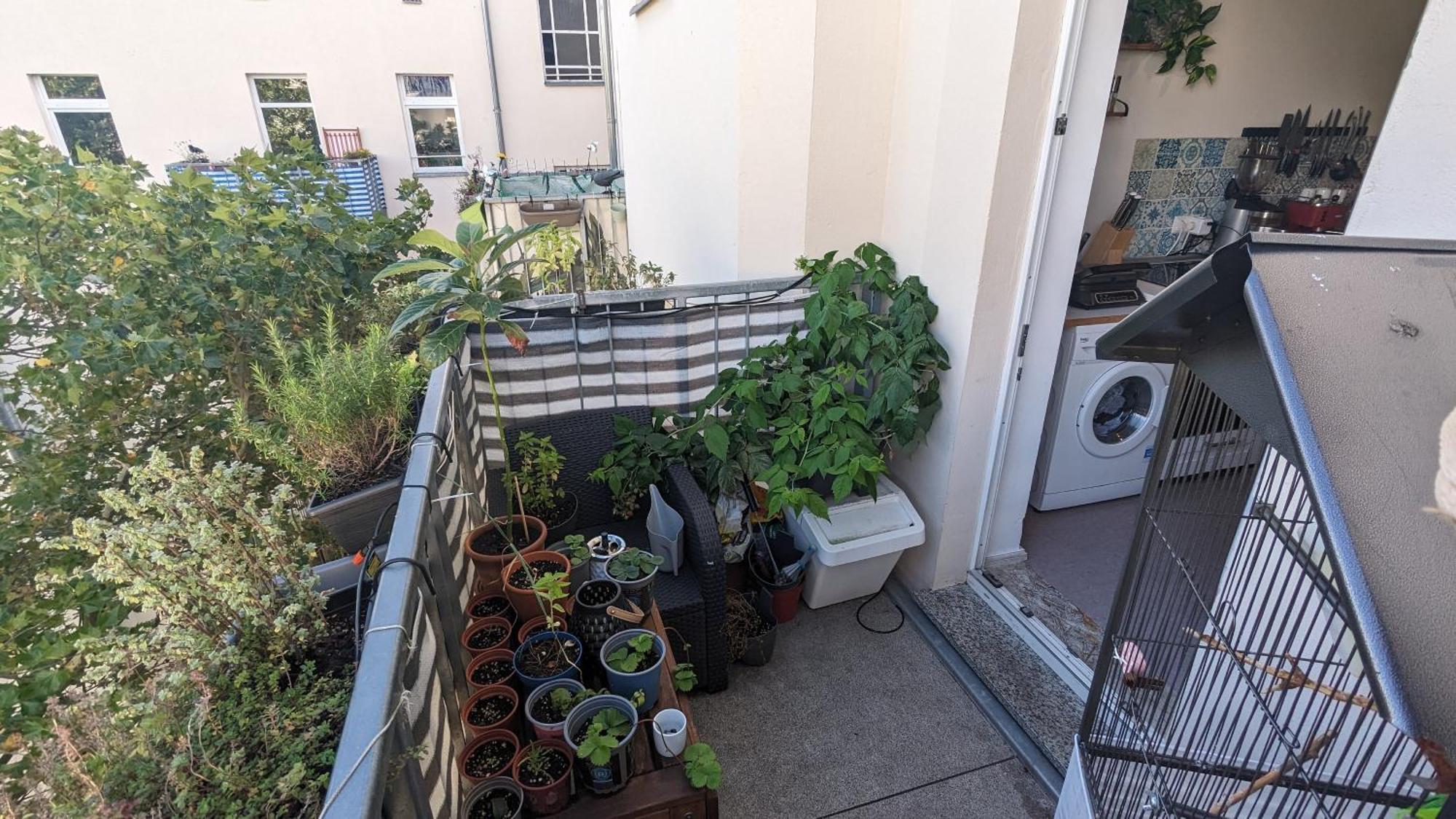 Cosy Flat In Berlin'S Trendy Area Apartment Exterior photo